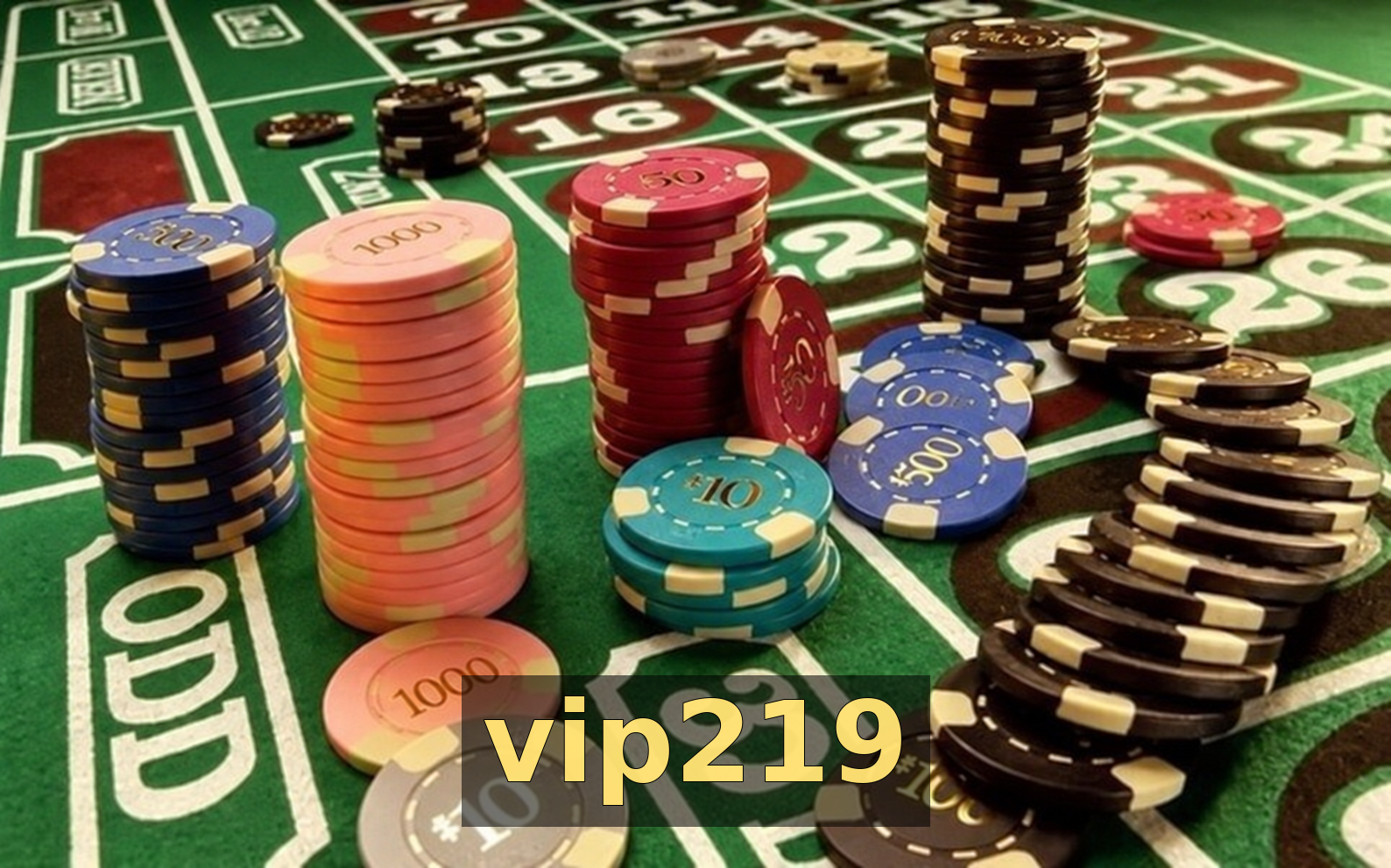 Cassino ao Vivo 50+